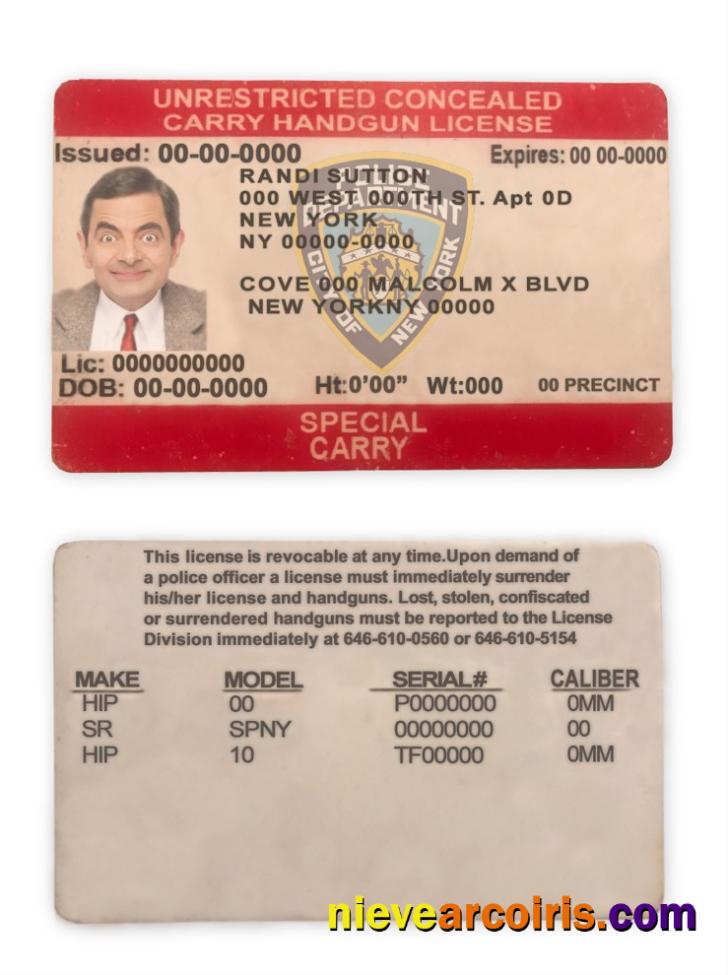 United States New York state unrestricted concealed carry license